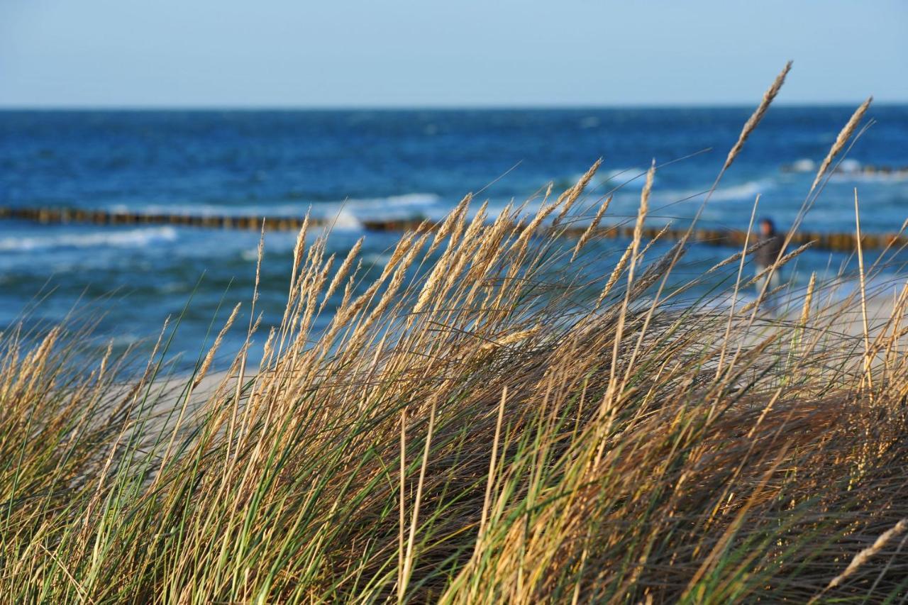 Seestr_54 Nr_304 Zingst Exteriör bild