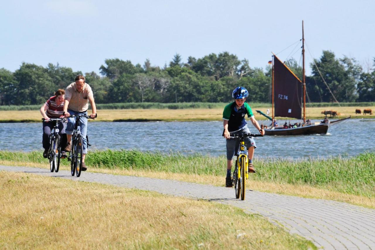 Seestr_54 Nr_304 Zingst Exteriör bild
